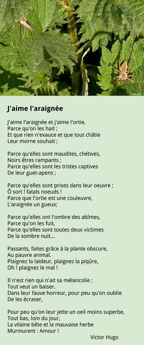 Poeme J Aime L Araignee De Victor Hugo Poeme J Aime L Araignee De Victor Hugo