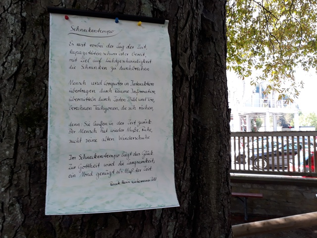 poesie am offentlichen baum