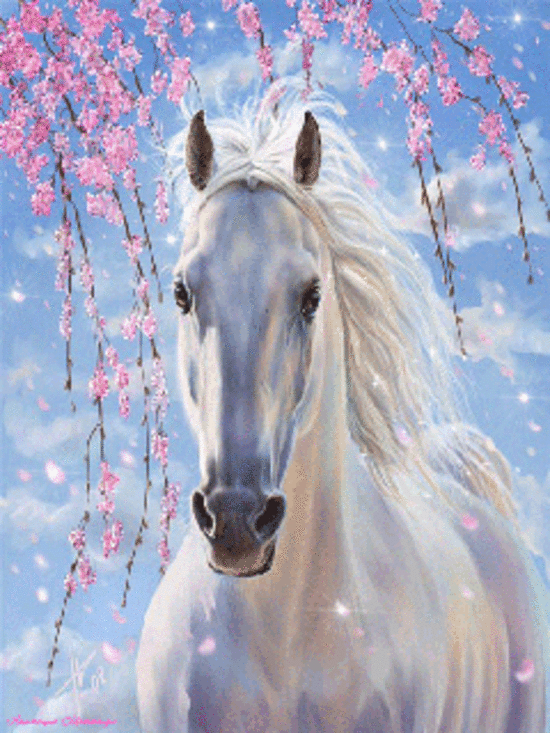 poesie l'ane en peine