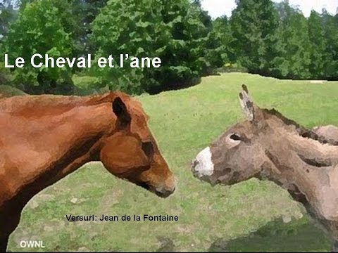 poesie l'ane en peine