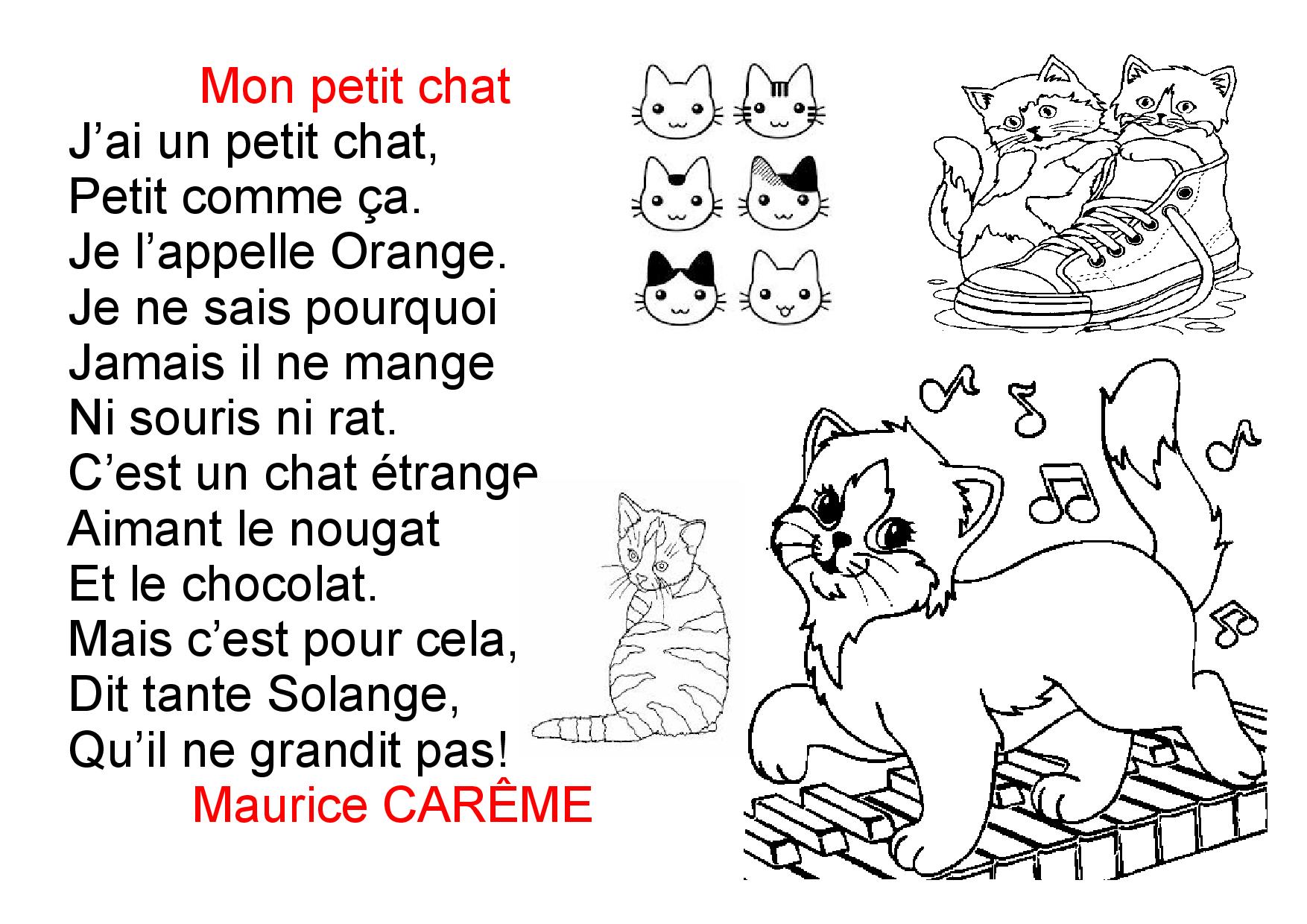 poesie un etrange animal