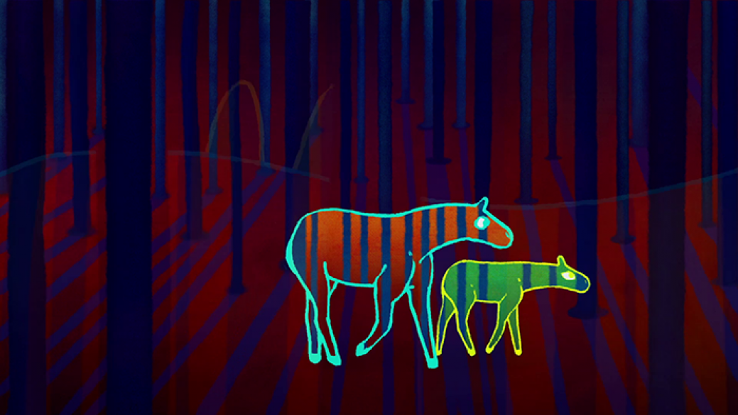 poesie zebre robert desnos